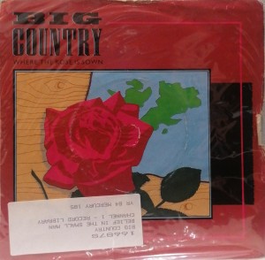 Big Country Where the Rose Is Sown SP MER185 VG