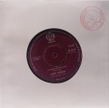Lonnie Donegan San Miguel