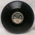 Betsy Lane Shepherd Gay Gitana / Gipsy's Warning 80760 Edison