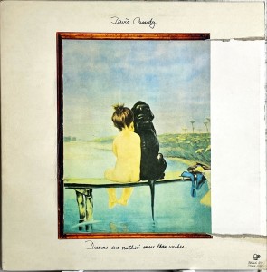 David Cassidy Dreams Are Nuthin' More Than Wishes... LP BELLS231 EX