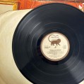 IMG_7249.jpeg