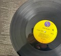 IMG_7229.jpeg