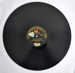 Wadsworth's Novelty Dance Orchestra Sensation / Ringtail Blues 22050 Pathe